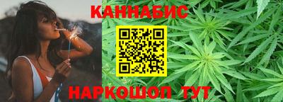 прущие грибы Шахты