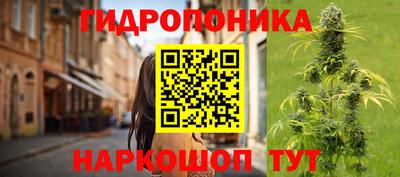 прущие грибы Шахты