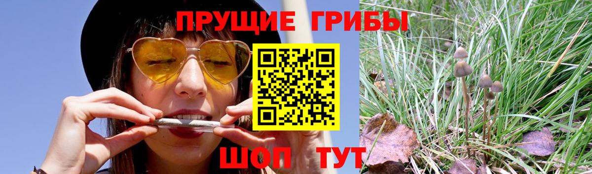 Галлюциногенные грибы Magic Shrooms Томск